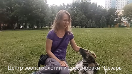 Татьяна и Фокси